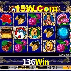Recursos de Bônus 136Win